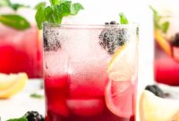 Crimson Mint Vodka Elixir