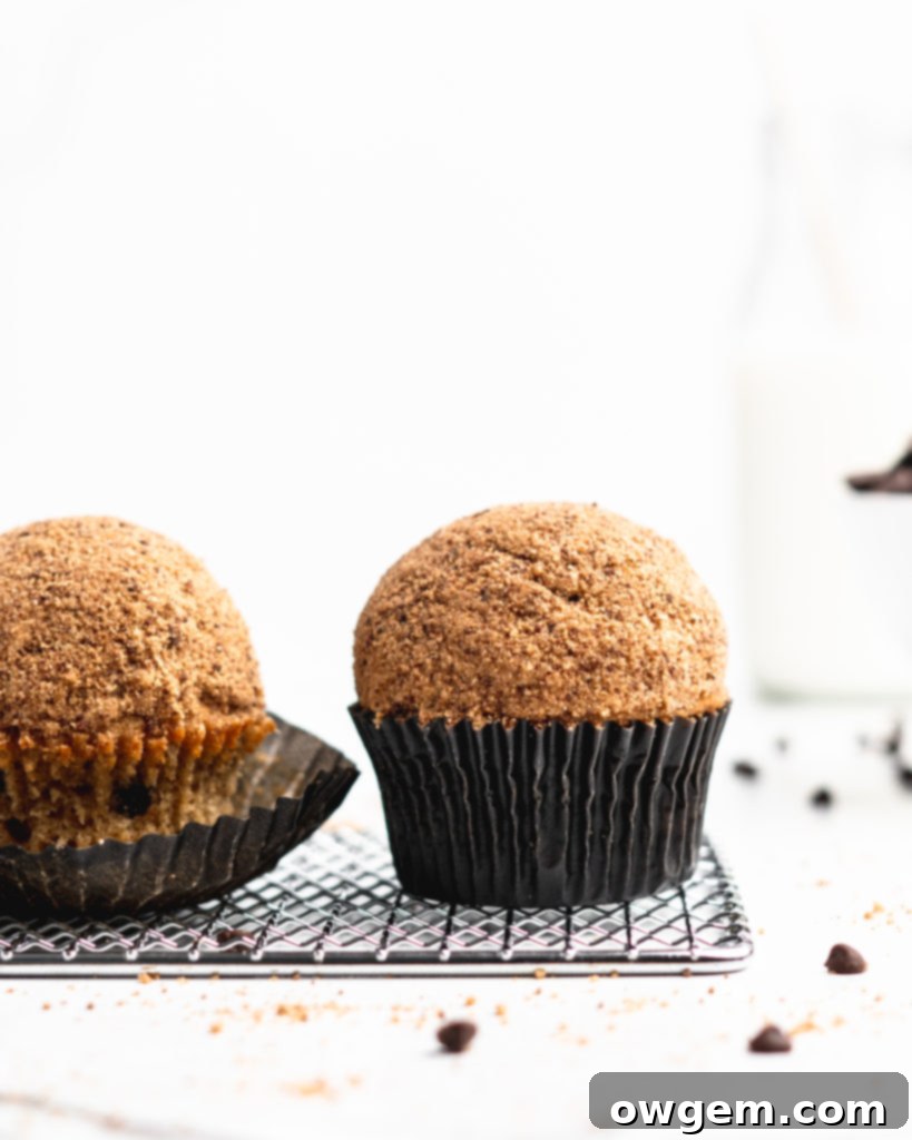 Spongy sweet chocolate chip cupcakes are topped with a creamy brown sugar frosting, and then rolled in crumbled chocolate chip cookies, creating a delightful texture and flavor contrast
