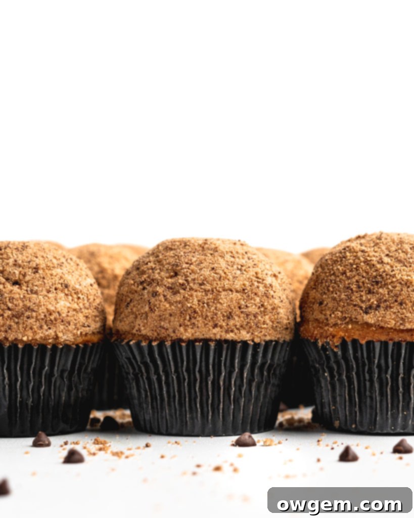 Close-up of fluffy chocolate chip cupcake batter being scooped into liners, showcasing the perfectly distributed mini chocolate chips