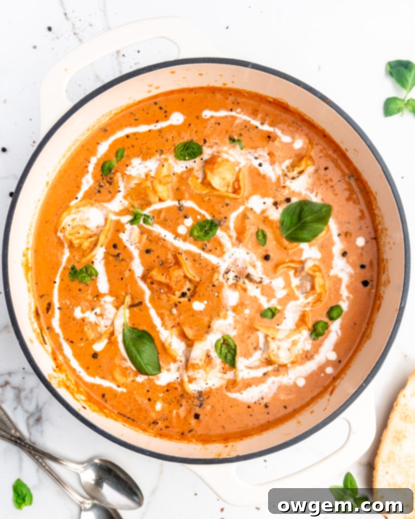 This Creamy Tomato and Tortellini Soup is vibrant in color and full of flavor. Made with San Marzano tomatoes, cream, cheesy tortellini, and a touch of white wine.