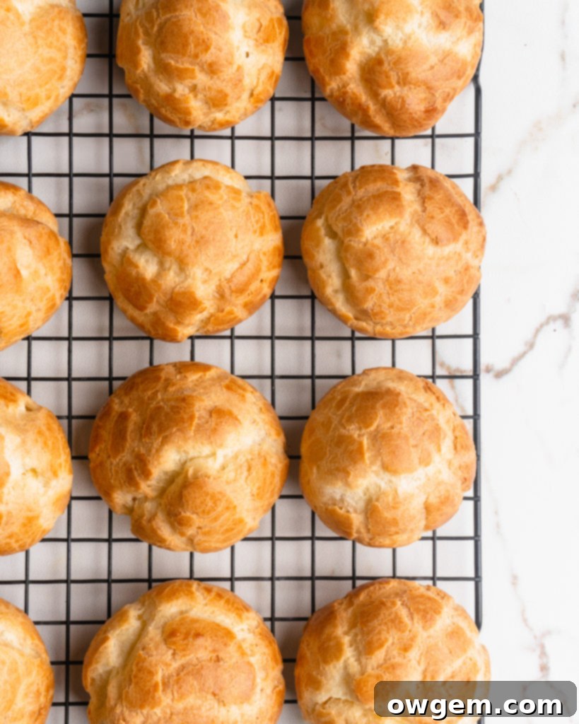 Perfectly puffed cream puffs are filled with a vanilla bean creme diplomat and topped with a chocolate glaze