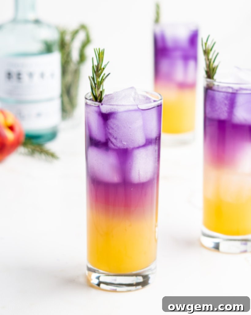 The stunning color transformation of a Sake Fizz Vodka Cocktail as yuzu juice is added to butterfly pea flower tea, creating a beautiful purple hue.