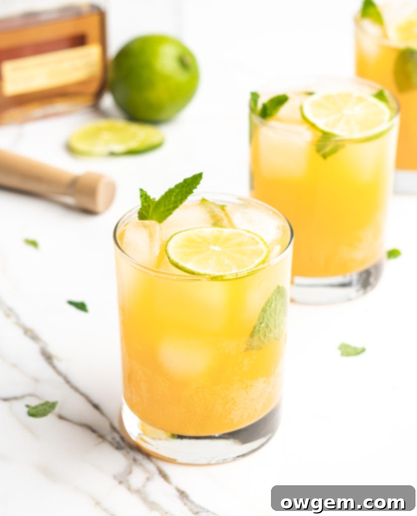 Fizzy and delicious, this cocktail features bourbon, mint, apricot nectar, and soda!