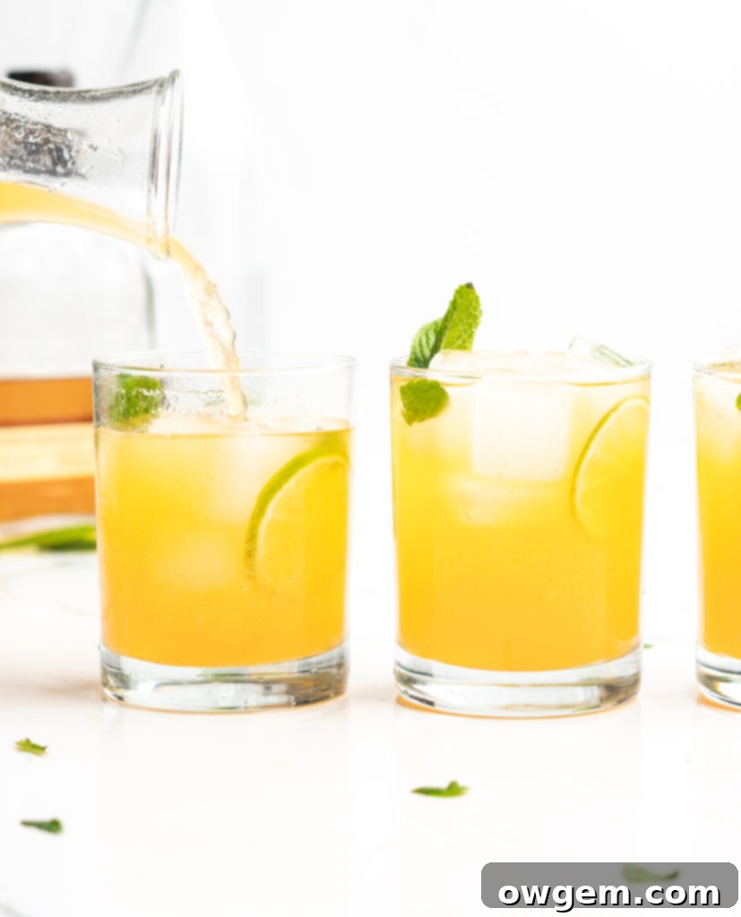 Fizzy and delicious, this cocktail features bourbon, mint, apricot nectar, and soda!