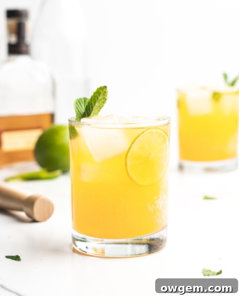 Fizzy and delicious, this cocktail features bourbon, mint, apricot nectar, and soda!