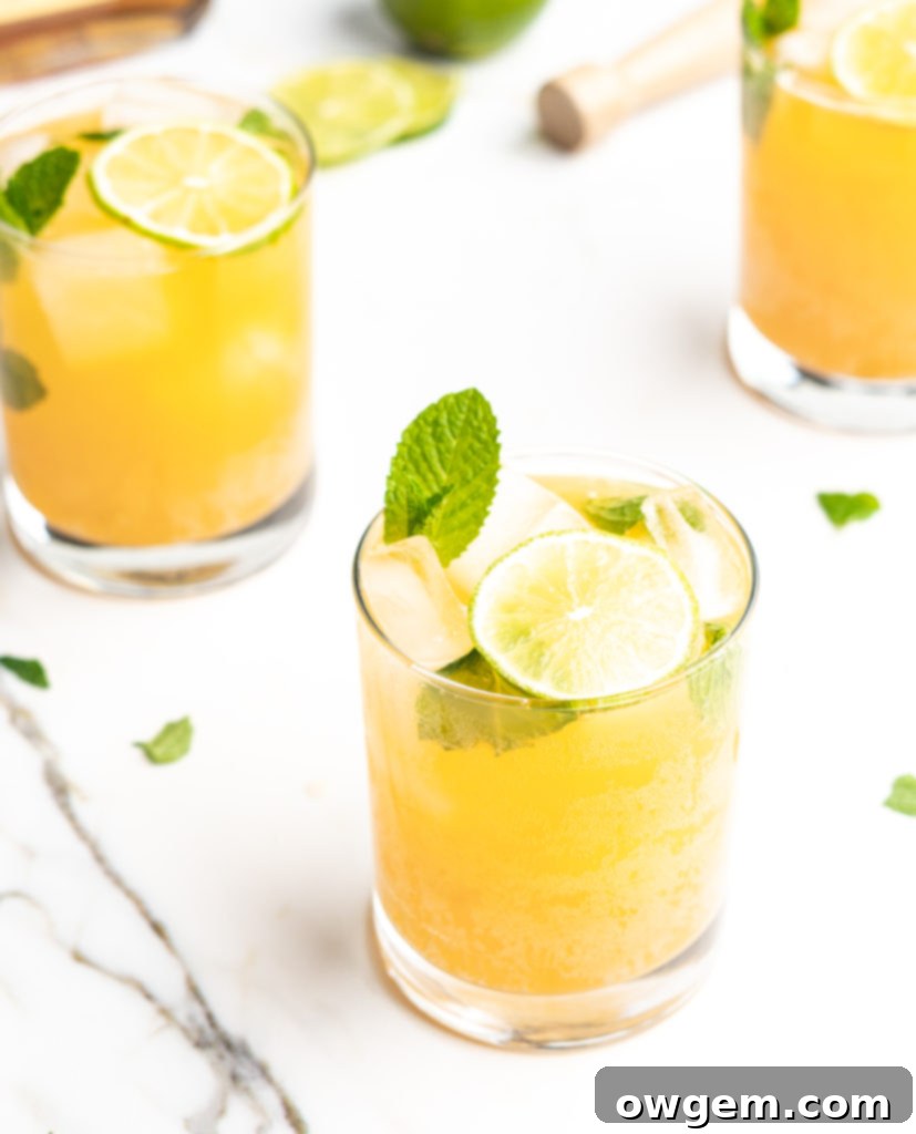 Fizzy and delicious, this cocktail features bourbon, mint, apricot nectar, and soda!