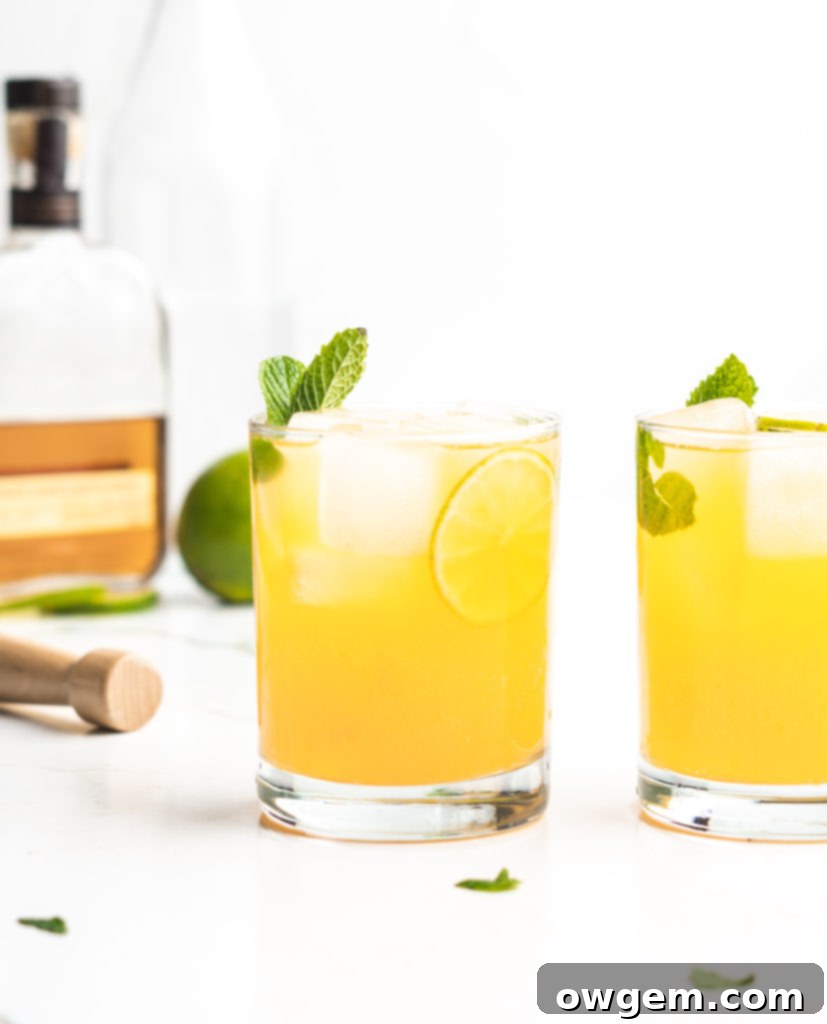 Fizzy and delicious, this cocktail features bourbon, mint, apricot nectar, and soda!