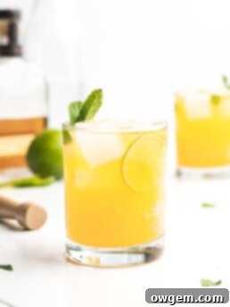 Fizzy and delicious, this cocktail features bourbon, mint, apricot nectar, and soda!