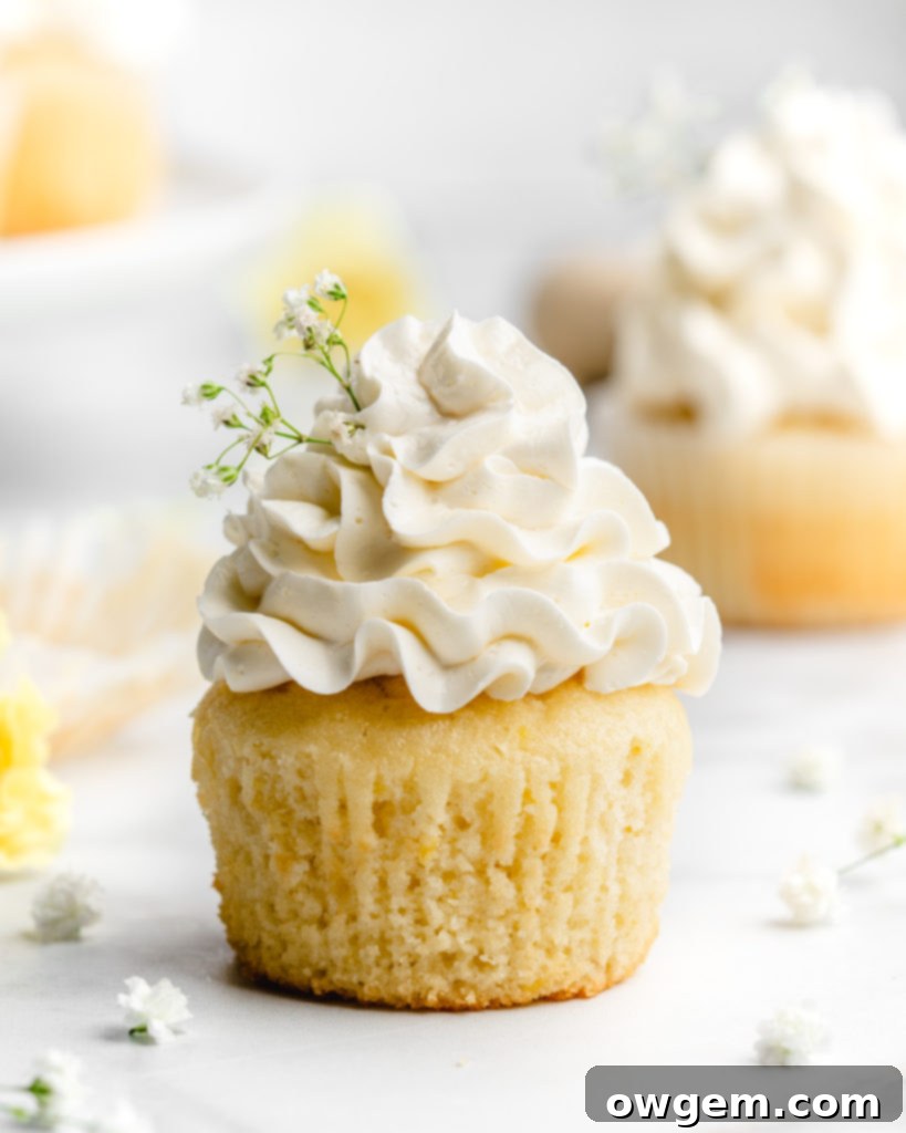 Fluffy and moist lemon cupcakes are frosted with a velvety and smooth elderflower Swiss Meringue Buttercream.