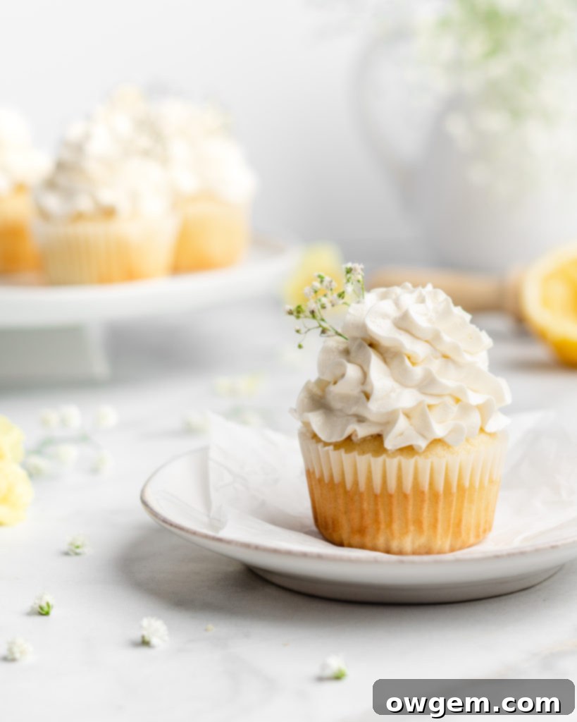 Fluffy and moist lemon cupcakes are frosted with a velvety and smooth elderflower Swiss Meringue Buttercream.