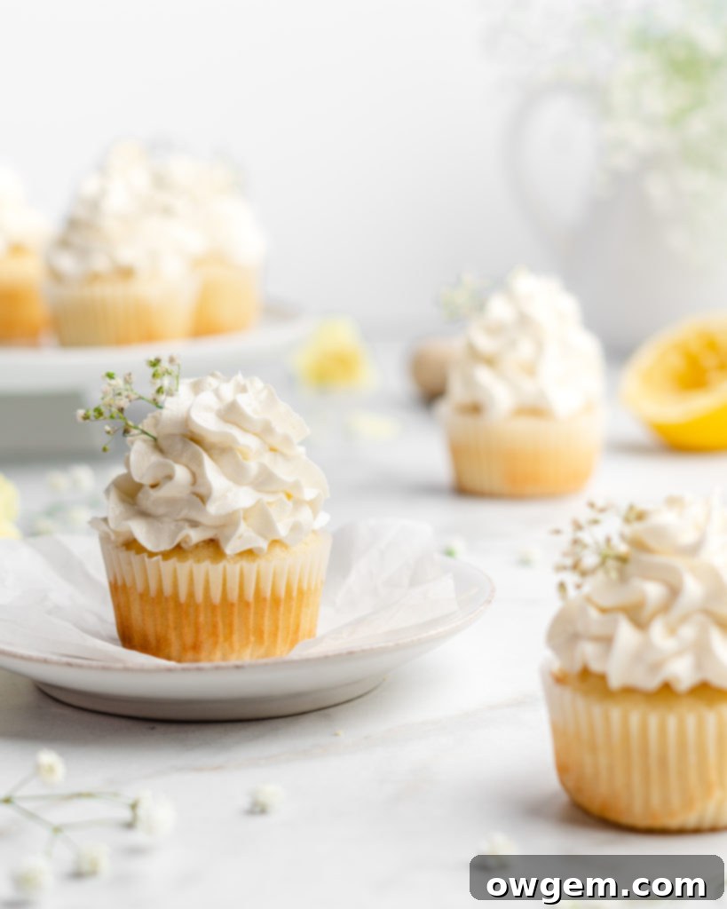 Fluffy and moist lemon cupcakes are frosted with a velvety and smooth elderflower Swiss Meringue Buttercream.
