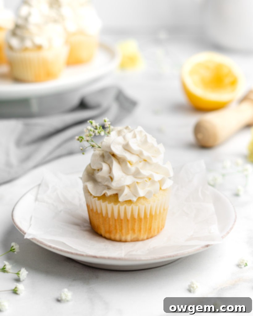 Fluffy and moist lemon cupcakes are frosted with a velvety and smooth elderflower Swiss Meringue Buttercream.