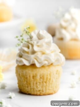 Fluffy and moist lemon cupcakes are frosted with a velvety and smooth elderflower Swiss Meringue Buttercream.
