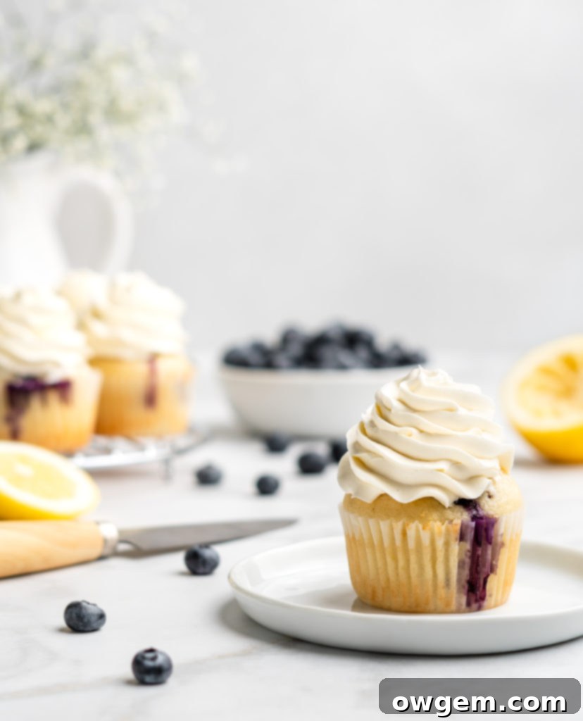 light and moist lemon cupcakes are speckled with little bursts of sweet fresh blueberries. Topped with a light and fresh lemon-infused mascarpone whipped cream