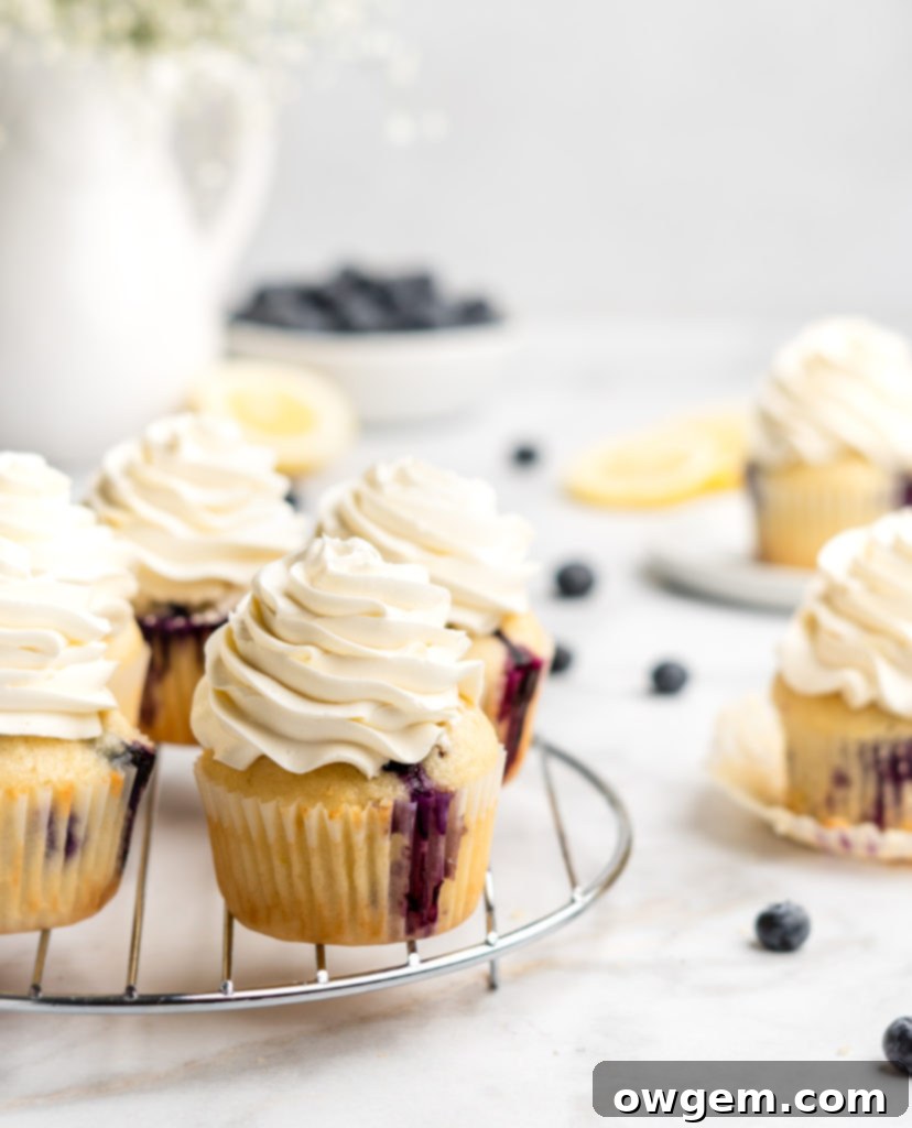light and moist lemon cupcakes are speckled with little bursts of sweet fresh blueberries. Topped with a light and fresh lemon-infused mascarpone whipped cream