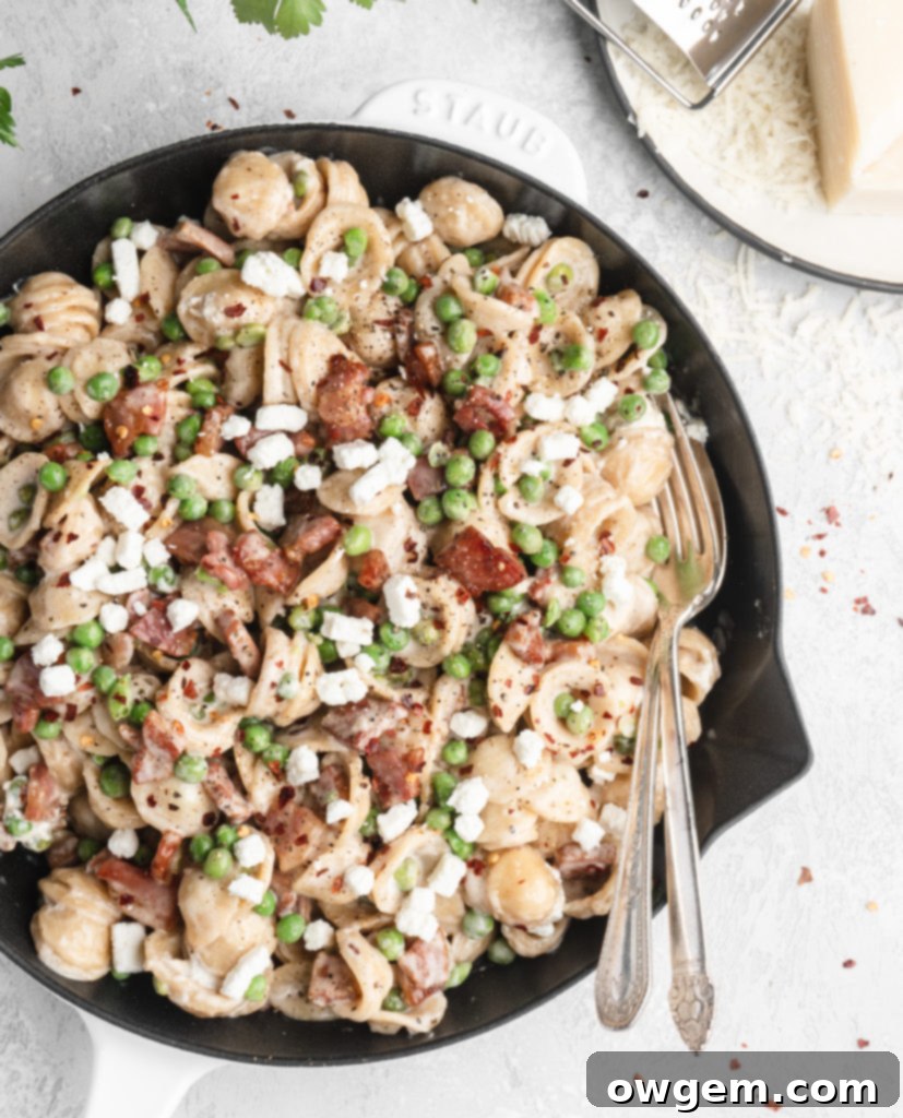 Pasta in a creamy parmesan wine sauce is paired with bits of goat cheese, peas, and crispy pancetta.