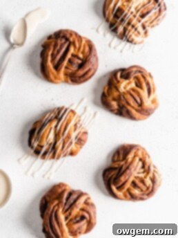 Beautiful cinnamon buns that are knotted into babka knots