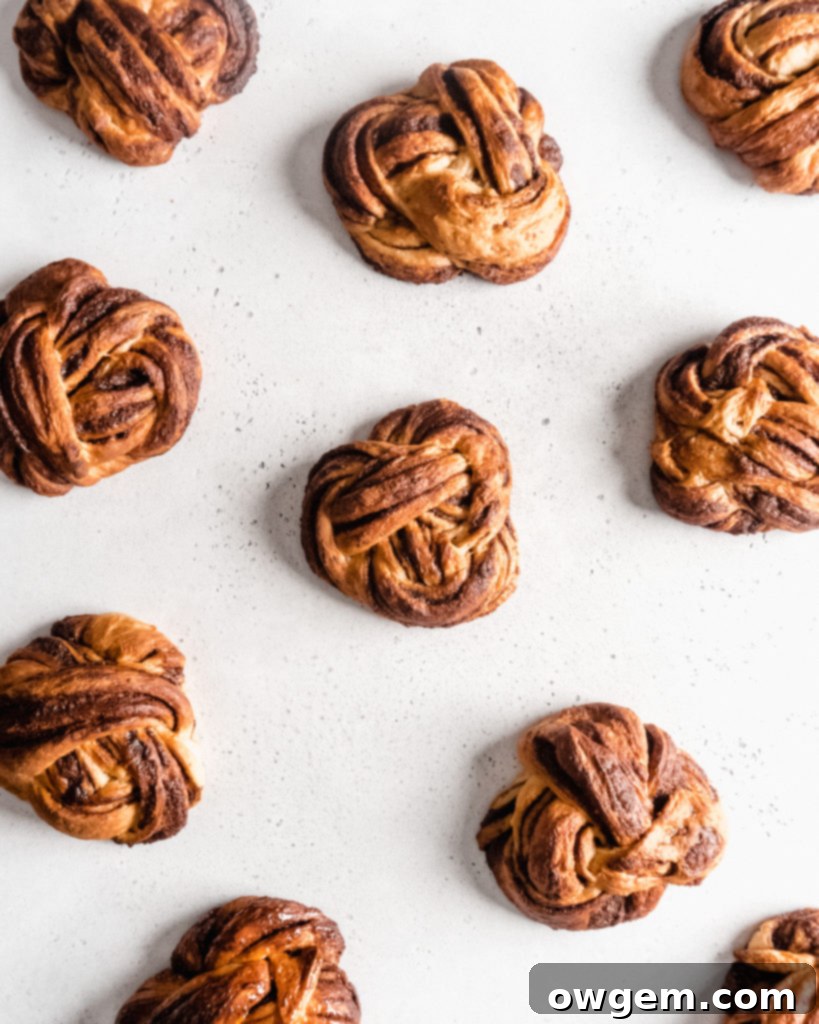 Beautiful cinnamon buns that are knotted into babka knots