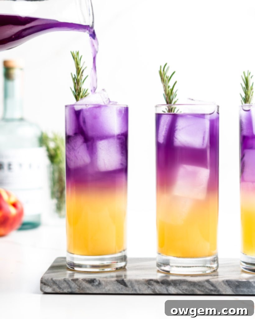 A vibrant Sake Fizz Cocktail, featuring butterfly pea flower tea for a beautiful color gradient.