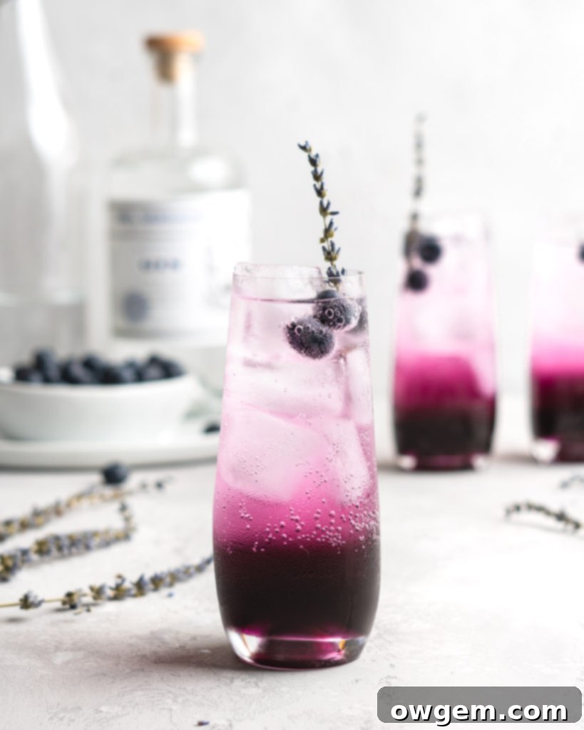 Blueberry juice, lavender syrup, gin, club soda, and a little bit of lemon make up the contents for this cocktail