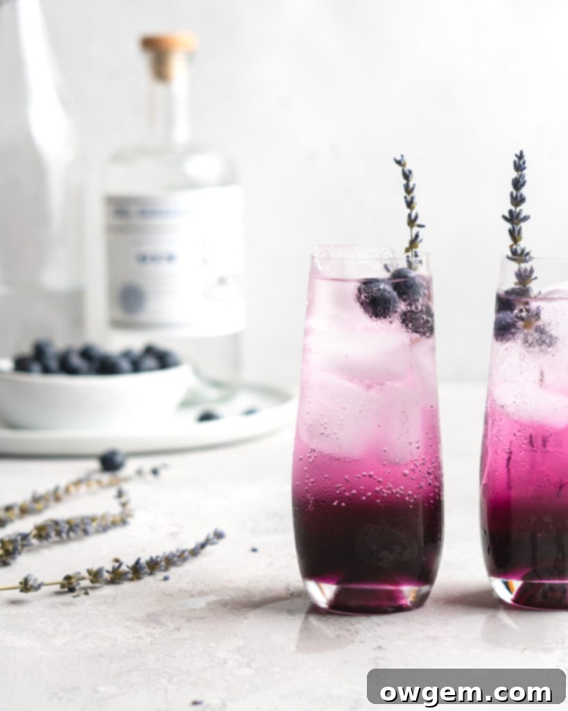 Blueberry juice, lavender syrup, gin, club soda, and a little bit of lemon make up the contents for this cocktail