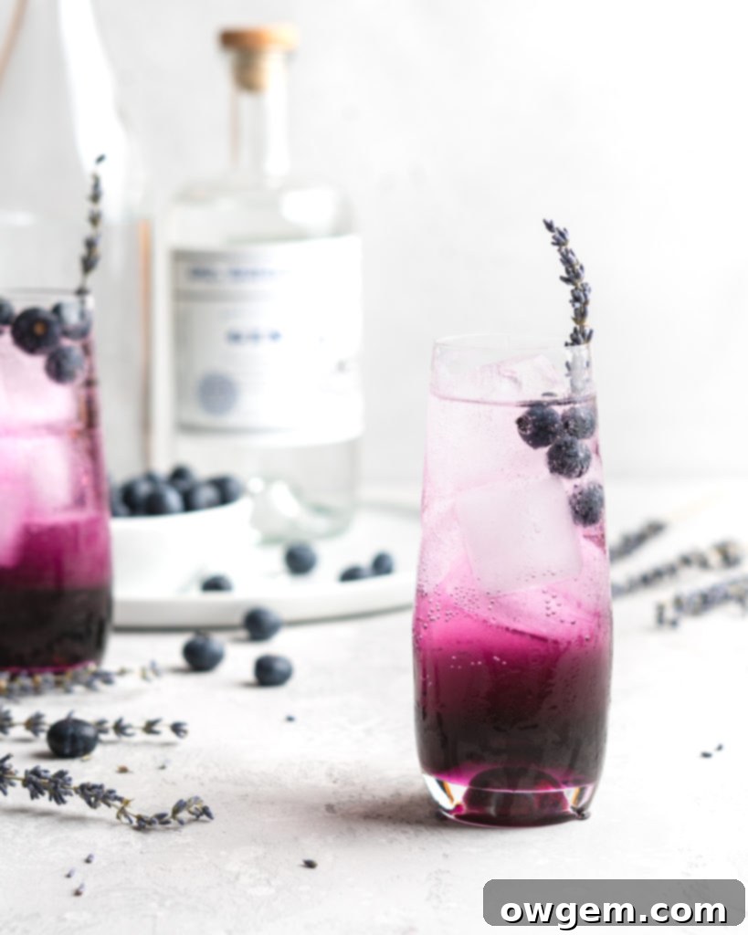 Blueberry juice, lavender syrup, gin, club soda, and a little bit of lemon make up the contents for this cocktail