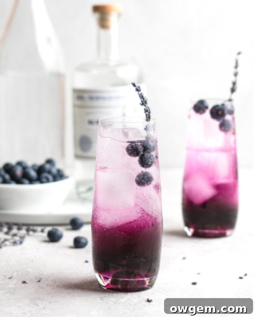 Blueberry juice, lavender syrup, gin, club soda, and a little bit of lemon make up the contents for this cocktail