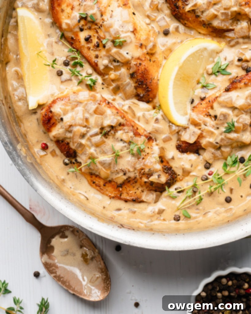 Pan-seared chicken with creamy white wine sauce and herbs.