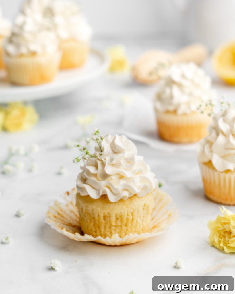 Fluffy and moist lemon cupcakes are frosted with a velvety and smooth elderflower Swiss Meringue Buttercream.