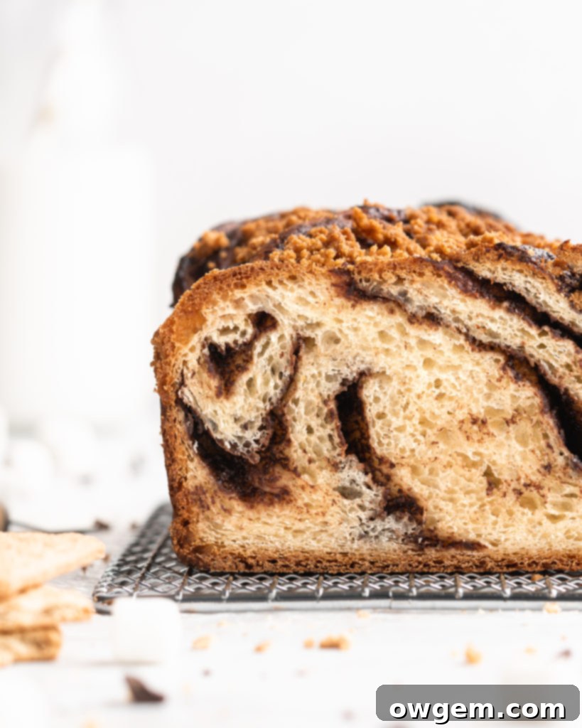 The beautiful babka loaf is filled with chocolate spread, crushed graham crackers, mini marshmallows, and topped with a graham cracker streusel