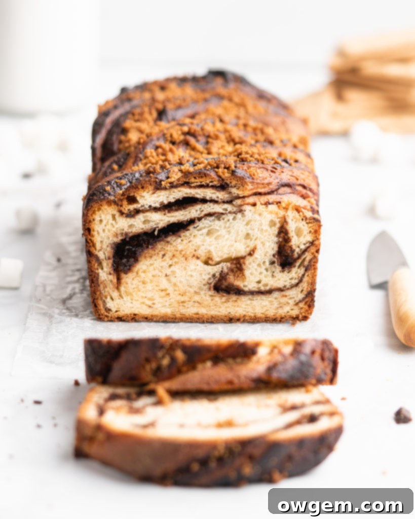 The beautiful babka loaf is filled with chocolate spread, crushed graham crackers, mini marshmallows, and topped with a graham cracker streusel