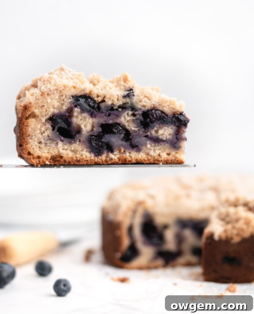 This moist coffee cake is speckled with juicy blueberries throughout and topped with a sweet brown butter streusel topping