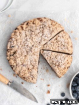 This moist coffee cake is speckled with juicy blueberries throughout and topped with a sweet brown butter streusel topping