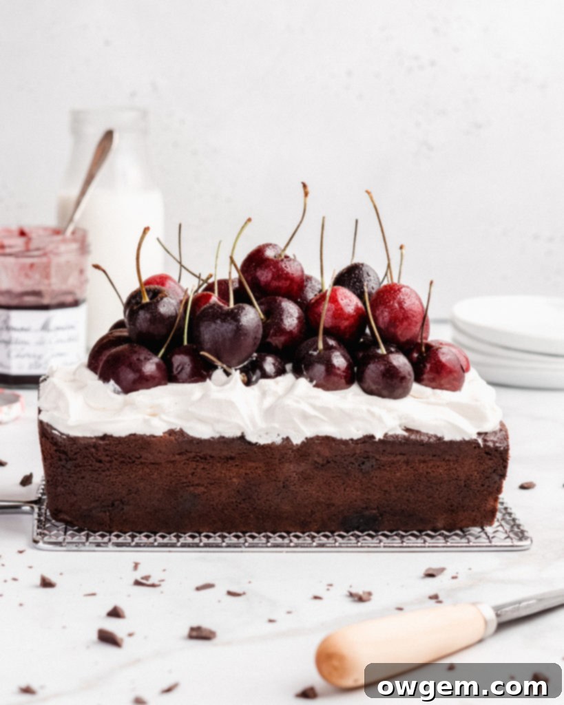 A slice of Black Forest Loaf Cake, showing its chocolatey crumb, cherry swirl, and topping of fresh cream and cherries.