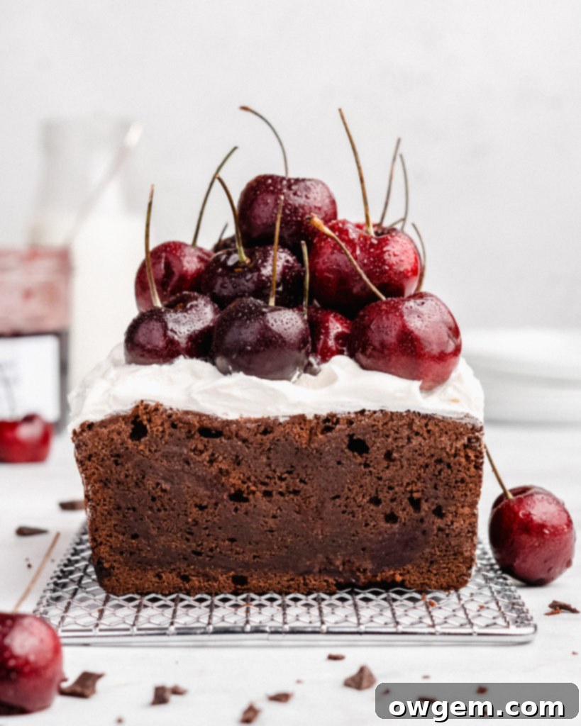 Rich chocolate loaf cake is swirled with cherry jam, then topped with fresh whipped cream and fresh cherries
