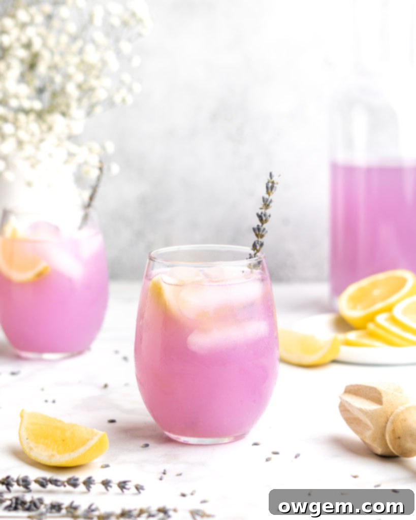 Lemonade is paired with floral lavender to create a lemonade that screams summer