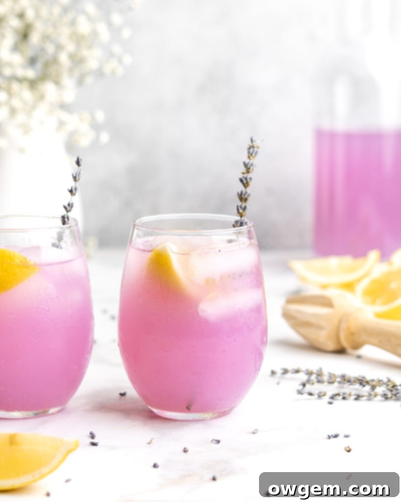 Lemonade is paired with floral lavender to create a lemonade that screams summer