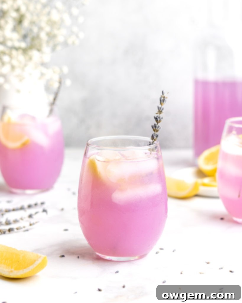 Lemonade is paired with floral lavender to create a lemonade that screams summer