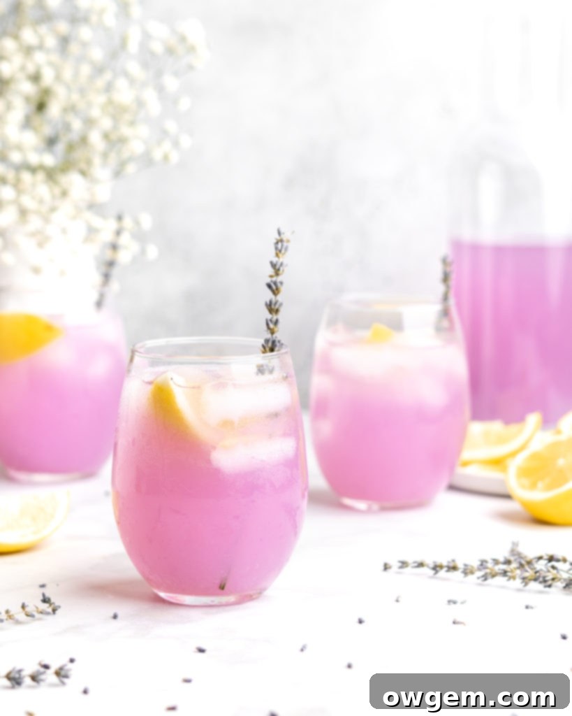 Lemonade is paired with floral lavender to create a lemonade that screams summer