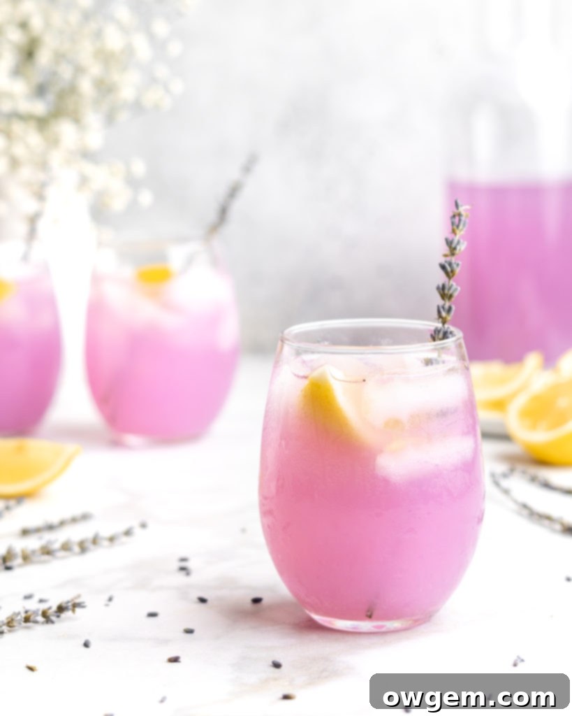 Lemonade is paired with floral lavender to create a lemonade that screams summer
