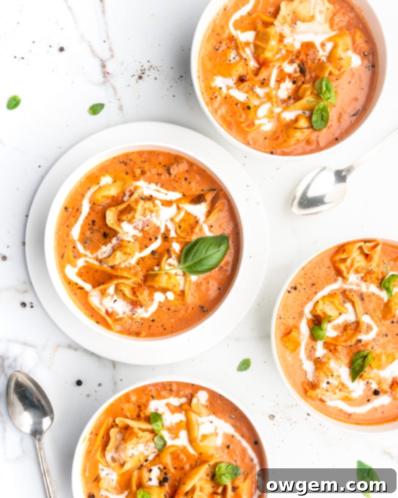 This Creamy Tomato and Tortellini Soup is vibrant in color and full of flavor. Made with San Marzano tomatoes, cream, cheesy tortellini, and a touch of white wine, it's a gourmet delight.