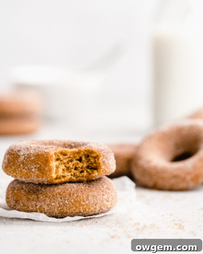 These easy to make Baked Pumpkin Donuts are covered in a cinnamon sugar coating.