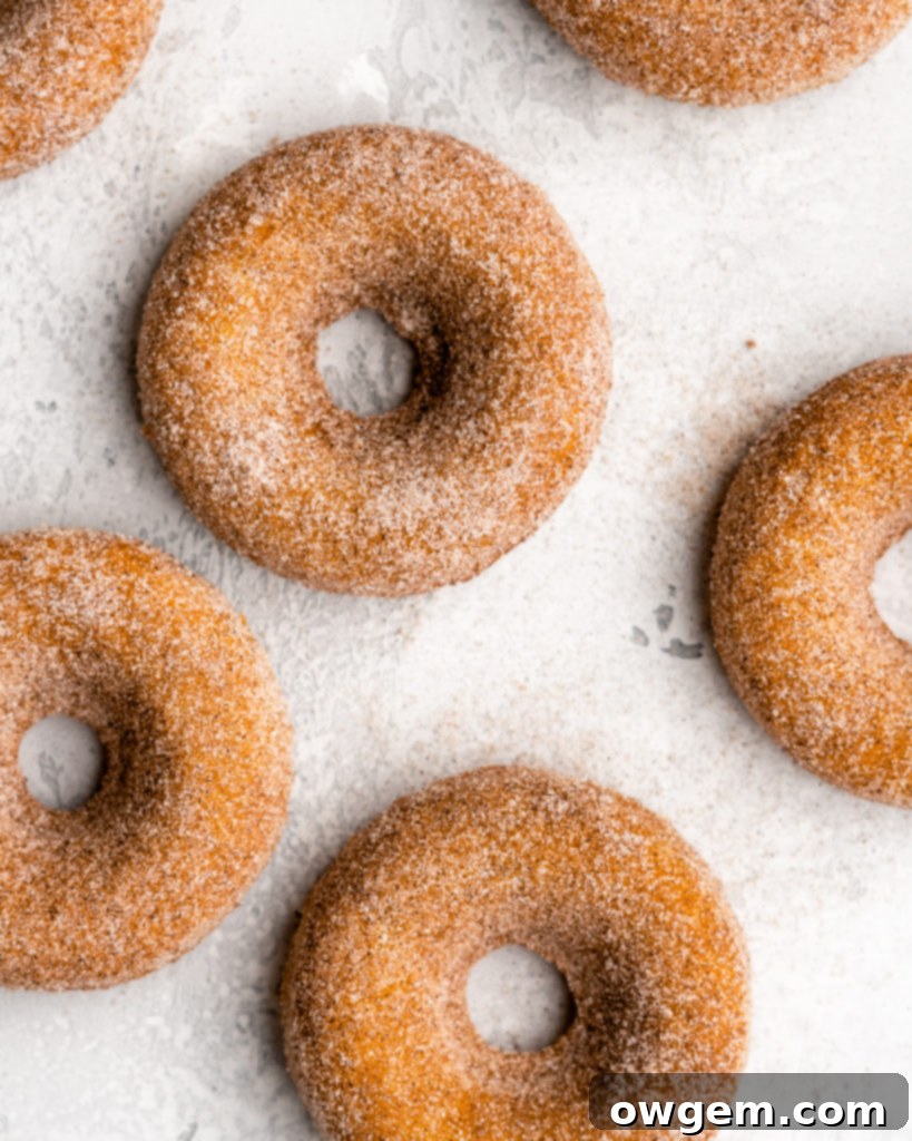 These easy to make Baked Pumpkin Donuts are covered in a cinnamon sugar coating.