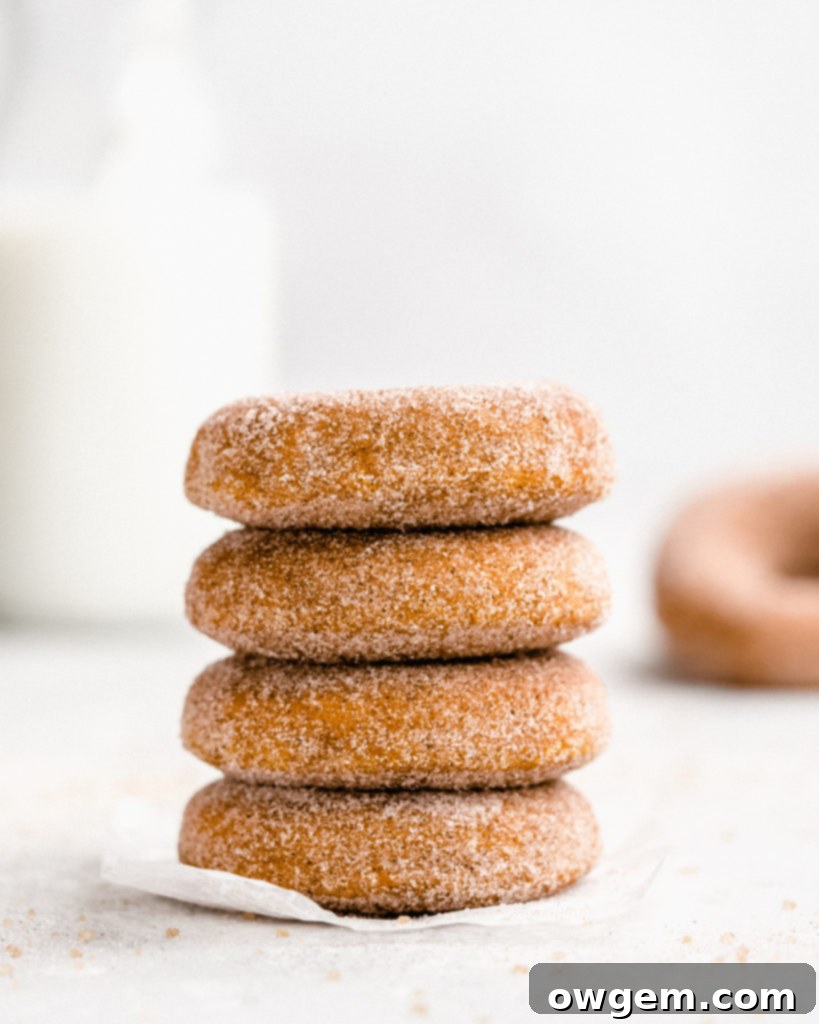 These easy to make Baked Pumpkin Donuts are covered in a cinnamon sugar coating.