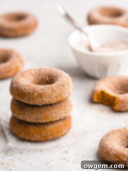 These easy to make Baked Pumpkin Donuts are covered in a cinnamon sugar coating.
