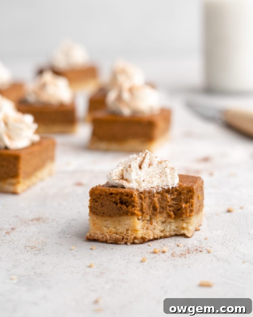 Flavorful, silky pumpkin pie filling sits atop a golden-brown, buttery shortbread crust, cut into neat squares, ready for serving.