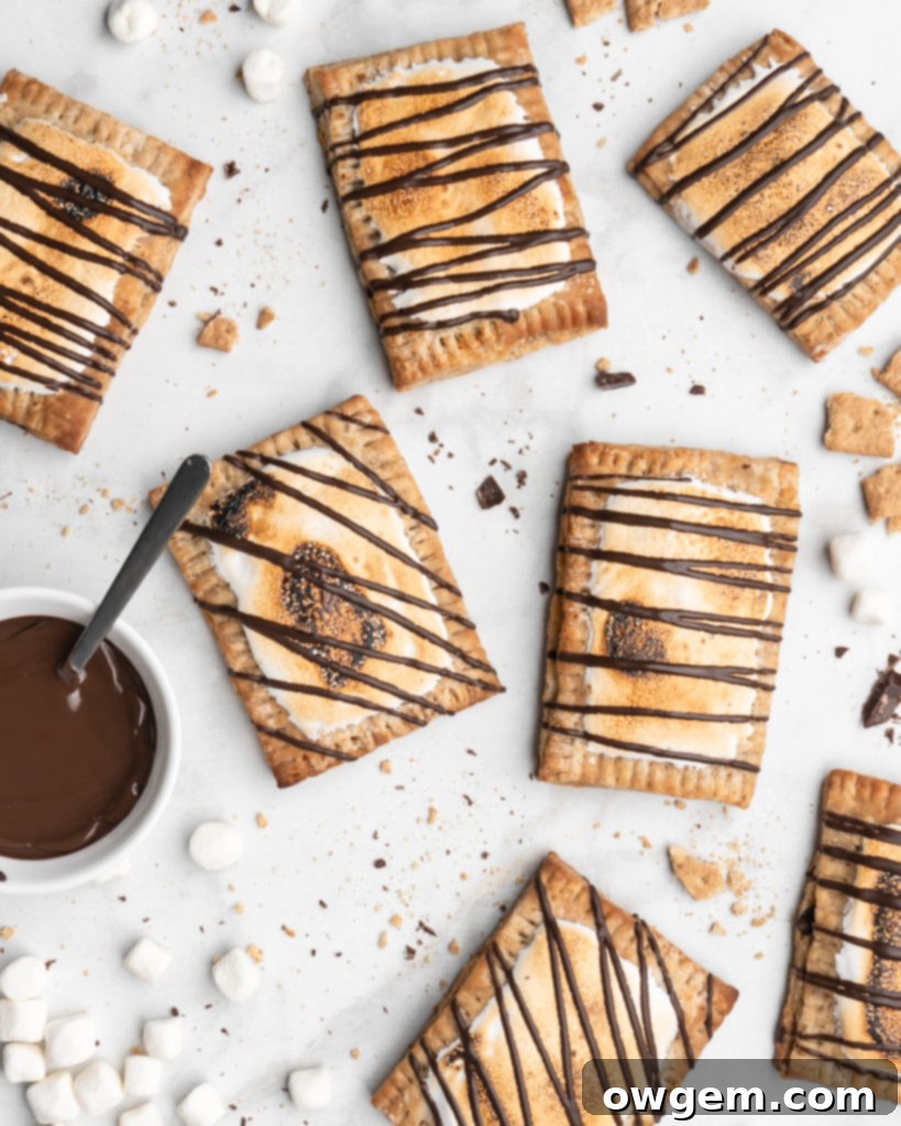 Delightfully rich chocolate filling and perfectly toasted marshmallow topping make these S'mores Hand Pies an exceptional dessert.