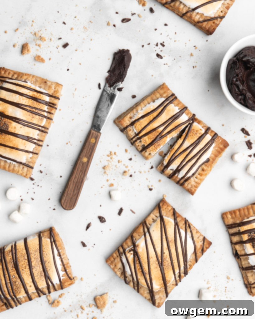 S'mores Hand Pies offer a homemade twist on the classic campfire dessert, featuring a delightful pastry.
