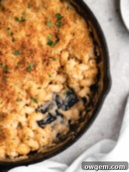 Baked Beer Mac and Cheese, golden brown and bubbling, with a crispy panko topping.