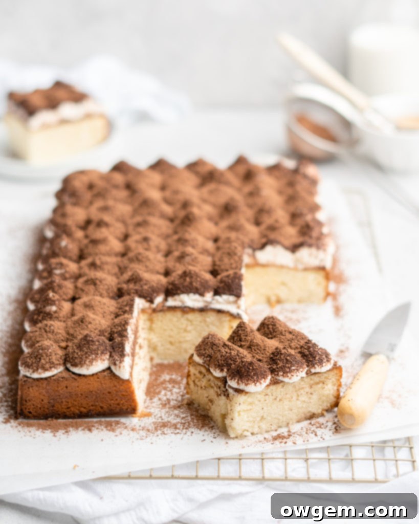 Espresso and vanilla infused sheet cake is brushed with a Kahlua coffee simple syrup, and then topped with a creamy mascarpone whipped cream in this Tiramisu Sheet Cake, showcasing the layers